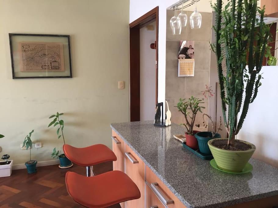 Apartment La Luz De San Telmo
