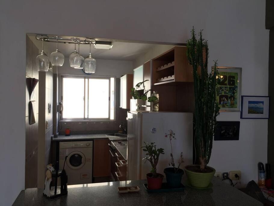 La Luz De San Telmo Apartment